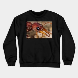 ant Crewneck Sweatshirt